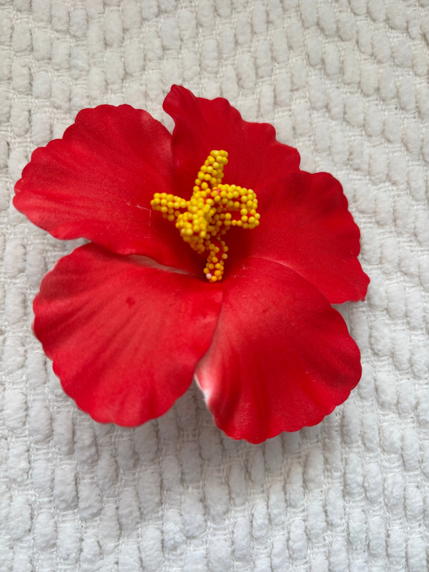Flor de Maga