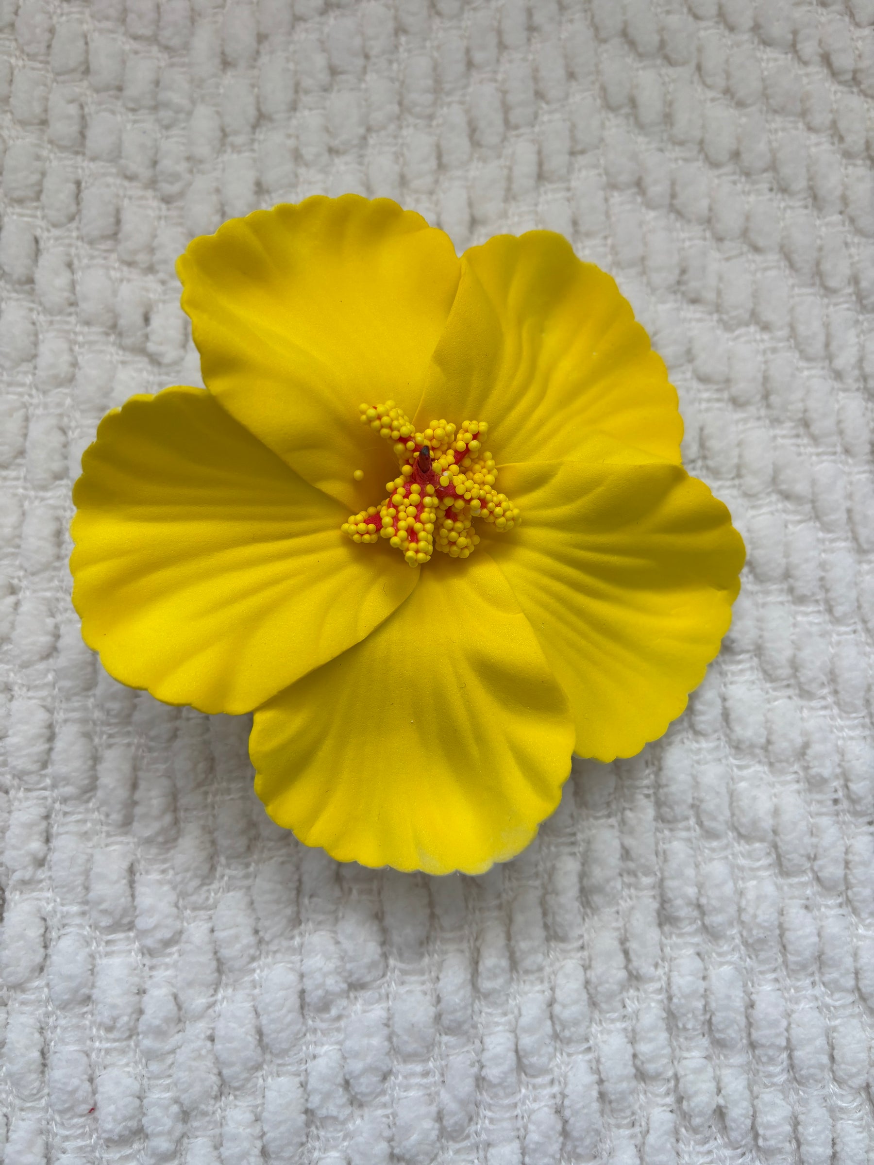 Flor de Maga